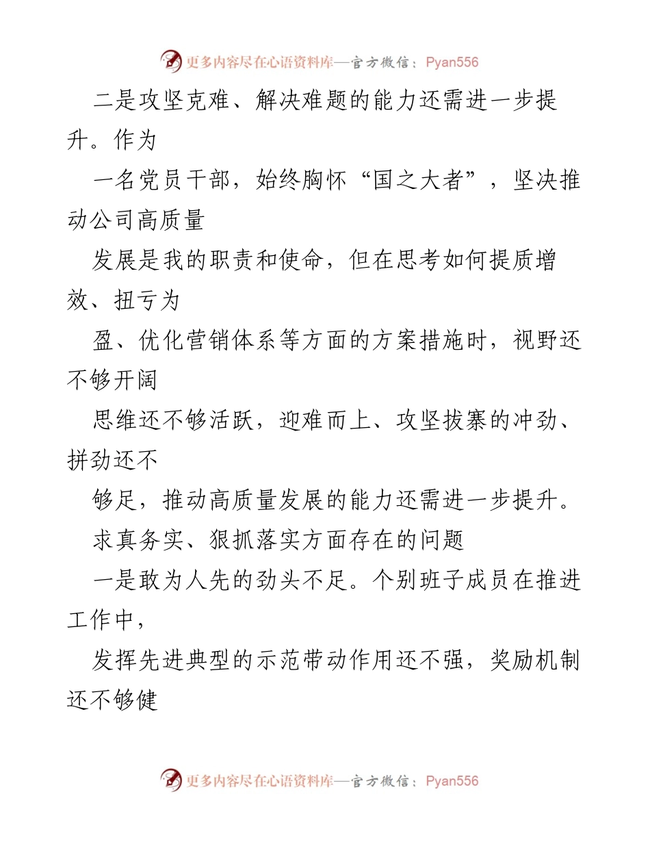 [工作总结] 党员干部工作检查 - 关于求真务实与狠抓落实方面问题的总结与反思.docx_第2页