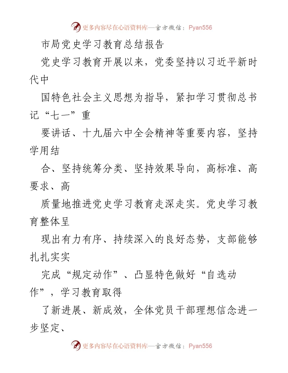 [工作总结] 党史学习教育 - 市局党史学习教育总结报告.docx_第1页
