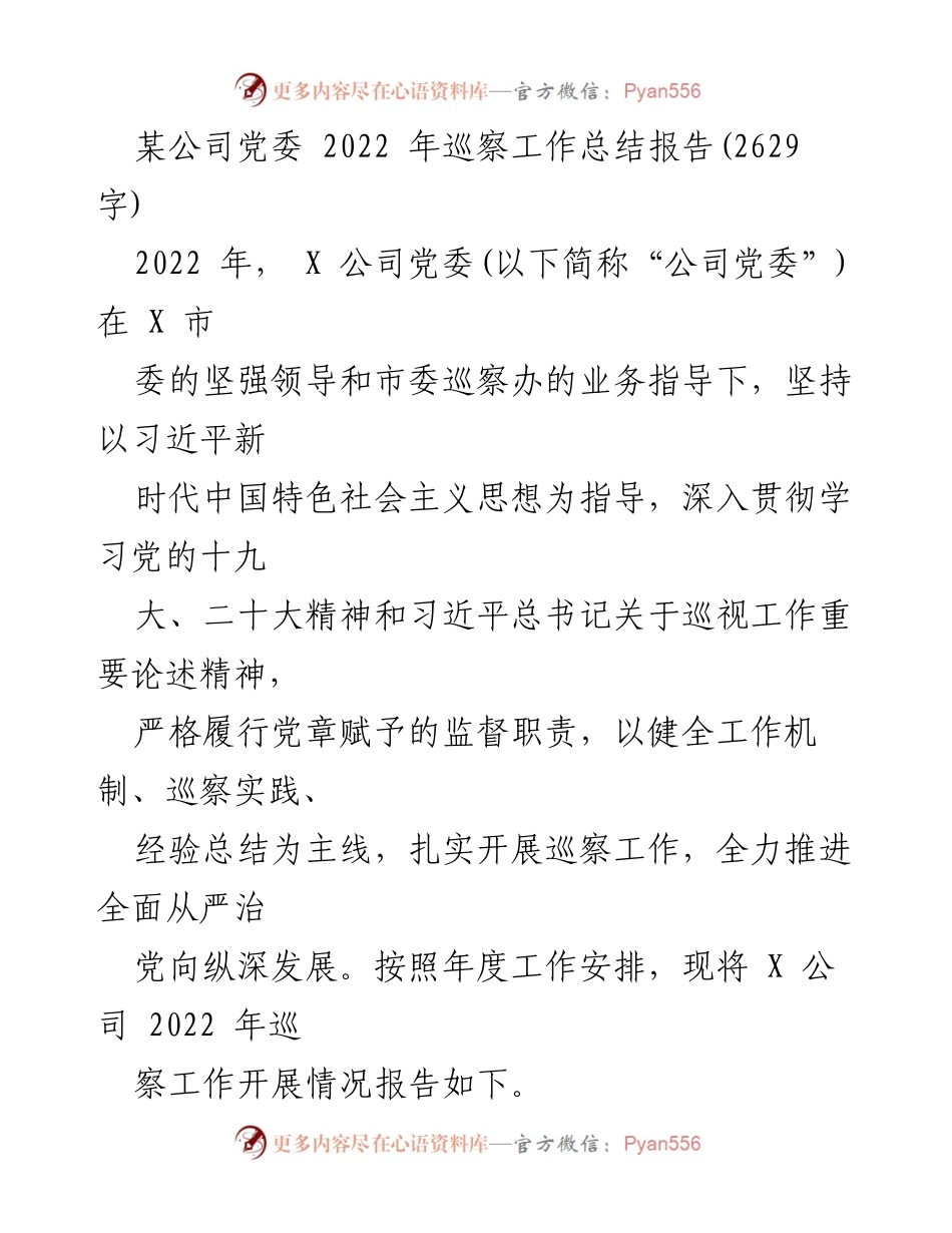 [工作总结] 党委巡察 - 2022年X公司党委巡察工作总结报告.docx_第1页