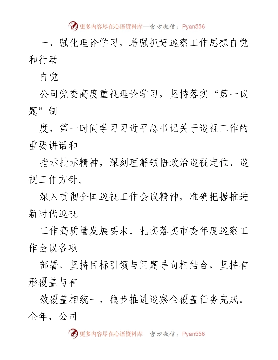 [工作总结] 党委巡察 - 2022年X公司党委巡察工作总结报告.docx_第2页