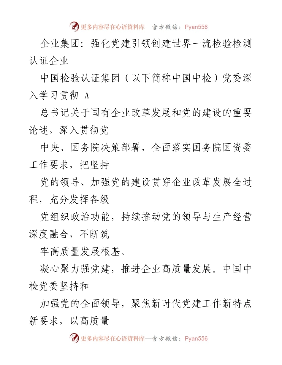 [工作总结] 企业党建 - 强化党建引领，推动中国中检高质量发展.docx_第1页