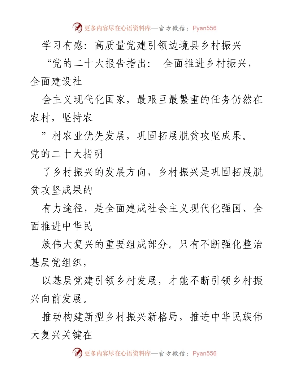 [工作总结] 党建与乡村振兴研讨会 - 高质量党建引领边境县乡村振兴的重要性与实践探索.docx_第1页