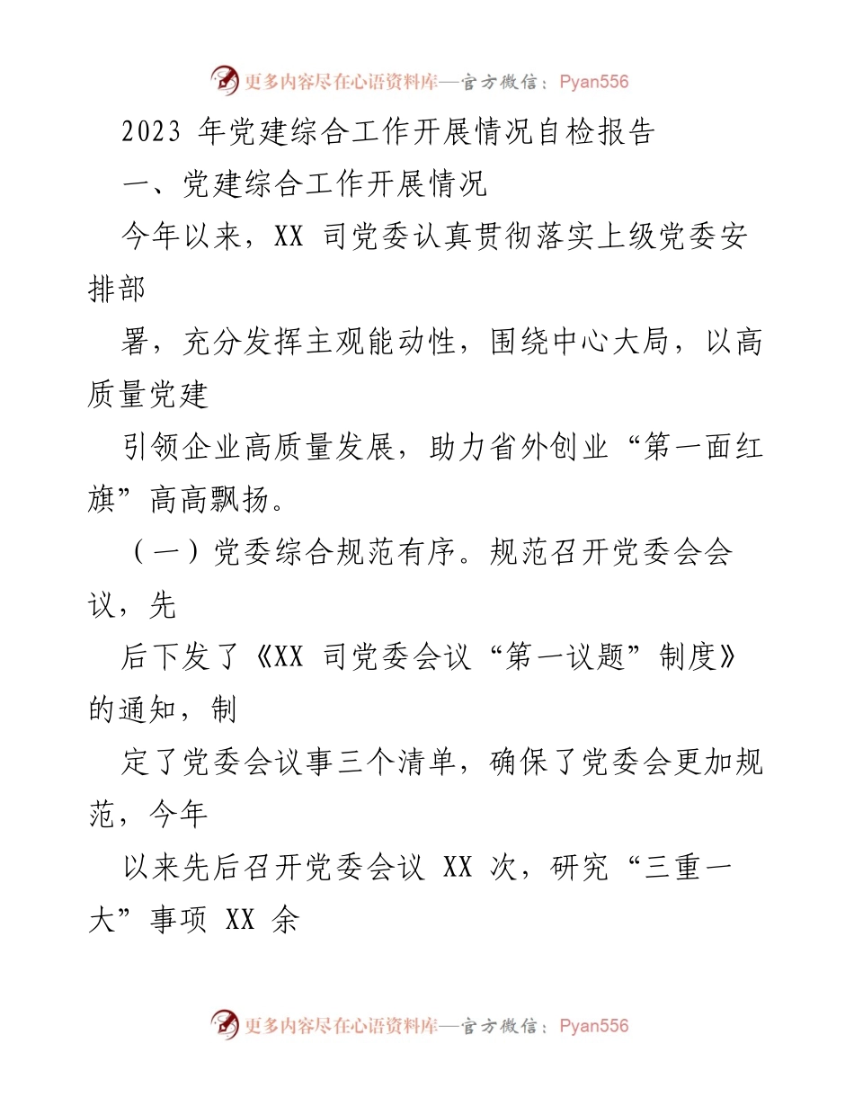[工作总结] 党建工作 - 2023年党建综合工作开展情况自检报告.docx_第1页