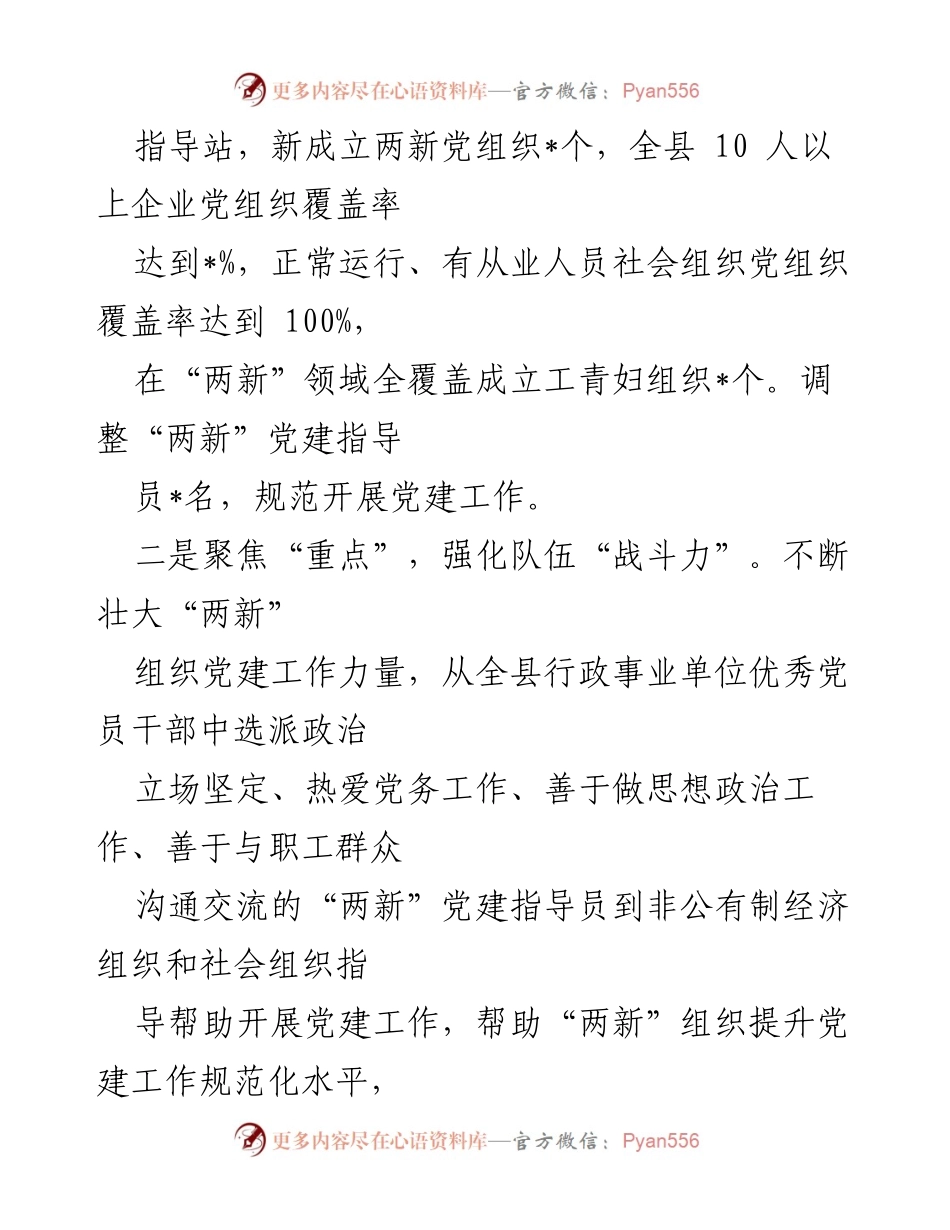 [工作总结] 党建工作 - 提升“两新”党建质量的实践与成效.docx_第2页