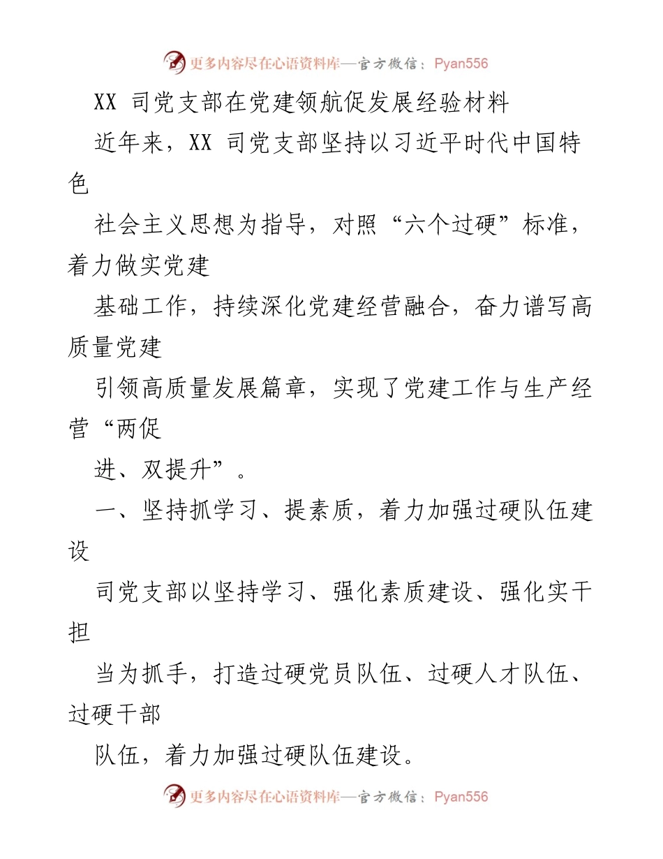 [工作总结] 党建工作 - XX司党支部党建引领高质量发展的经验总结.docx_第1页