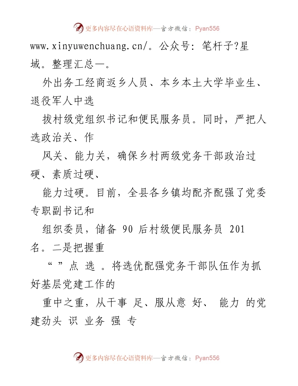 [工作总结] 党务干部队伍建设 - 提升党务干部队伍素质与能力的工作汇报.docx_第2页