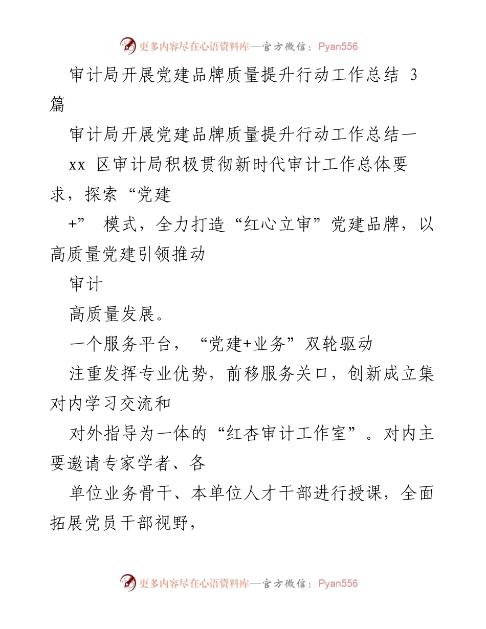 [工作总结] 党建工作 - 审计局党建品牌质量提升行动总结报告.docx_第1页