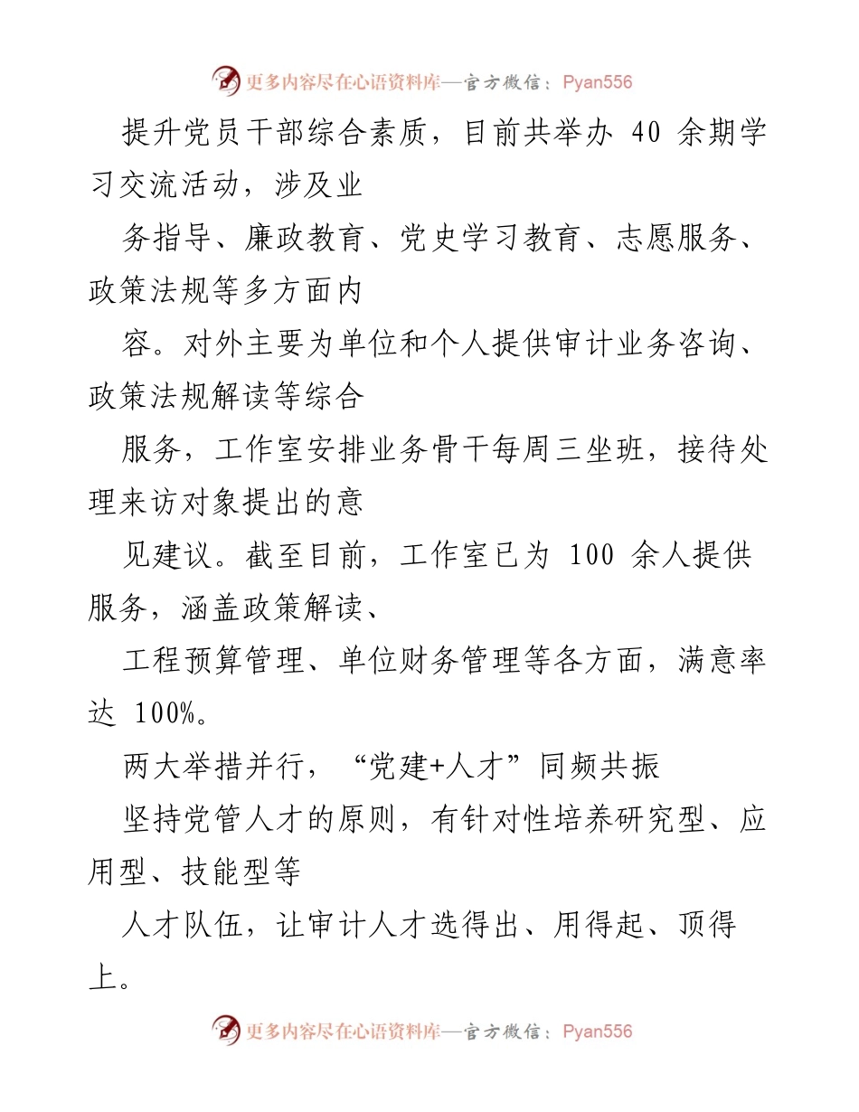 [工作总结] 党建工作 - 审计局党建品牌质量提升行动总结报告.docx_第2页