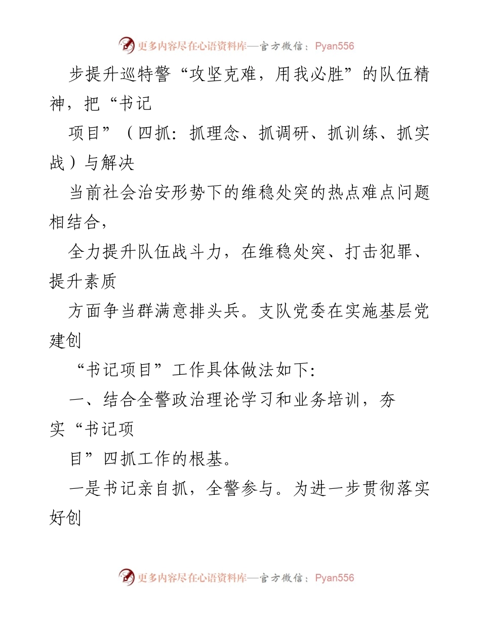 [工作总结] 党建工作 - 巡（特）警支队党委实施基层党建创“书记项目”工作情况汇报.docx_第2页