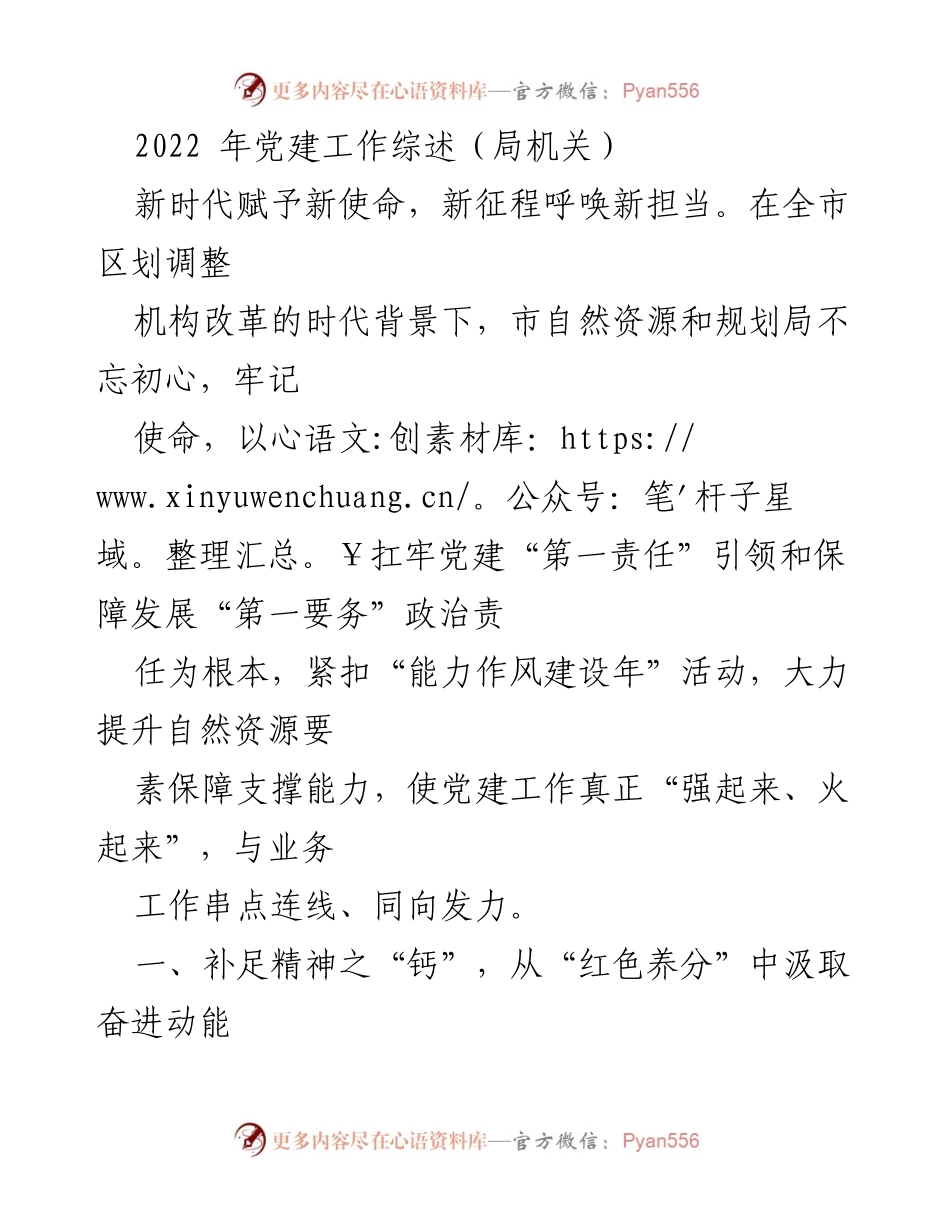 [工作总结] 党建工作 - 2022年市自然资源和规划局党建工作综述.docx_第1页