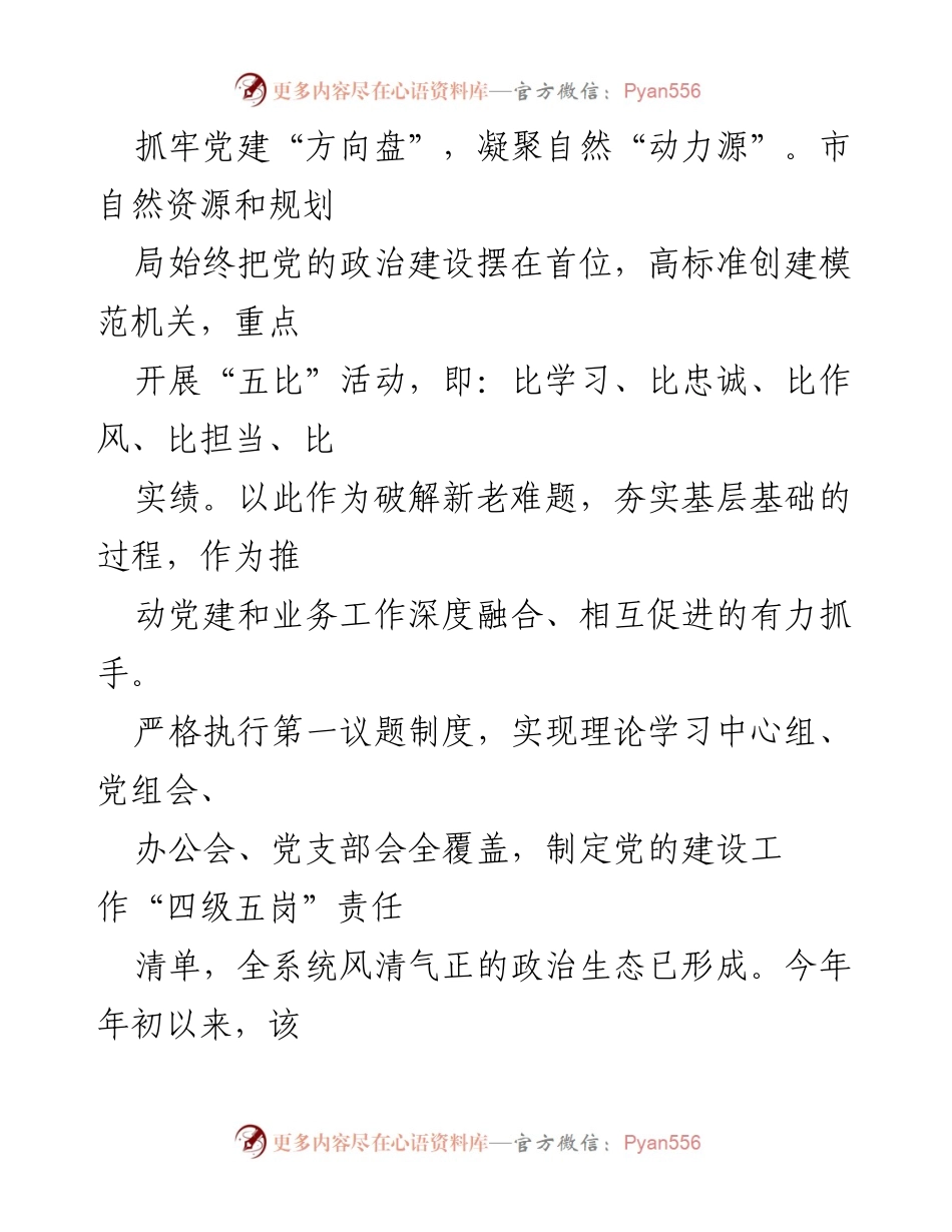 [工作总结] 党建工作 - 2022年市自然资源和规划局党建工作综述.docx_第2页