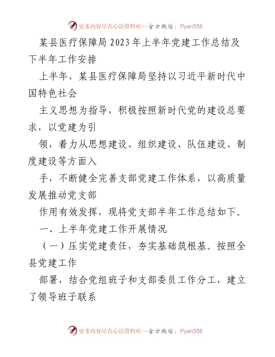 [工作总结] 党建工作 - 某县医疗保障局2023年上半年党建工作总结及下半年工作安排_1.docx_第1页
