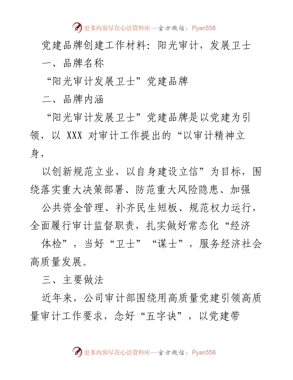 [工作总结] 党建品牌创建 - 阳光审计：推动高质量发展的党建品牌建设.docx_第1页