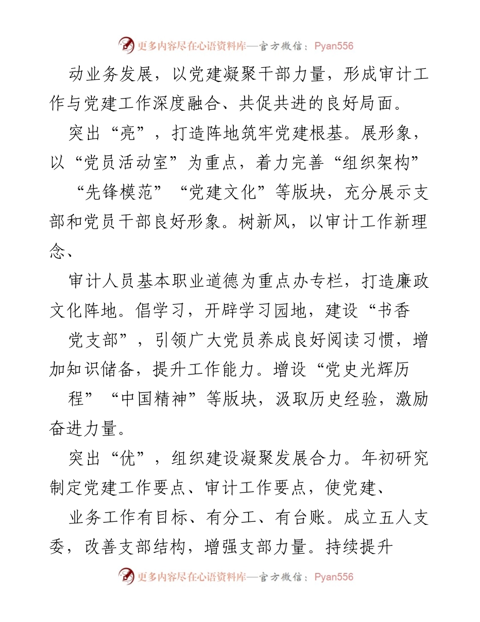 [工作总结] 党建品牌创建 - 阳光审计：推动高质量发展的党建品牌建设.docx_第2页