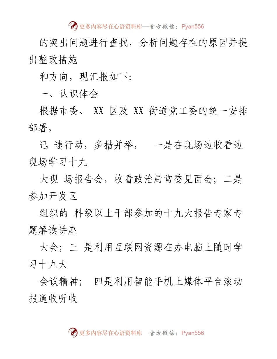[工作总结] 党员整改 - 2023年党员问题查摆与整改措施总结.docx_第2页