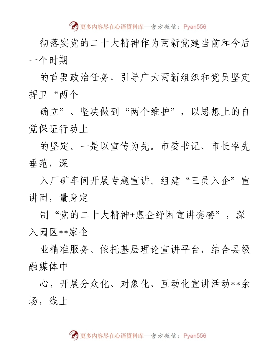 [工作总结] 党建工作 - 2022年度市两新党建工作总结.docx_第2页