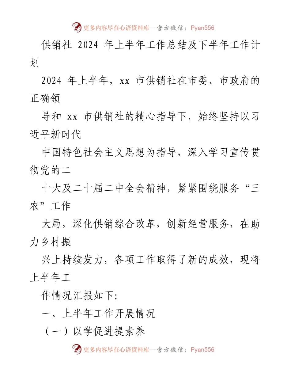 [工作总结] 供销社 - 2024年上半年工作总结与下半年计划.docx_第1页