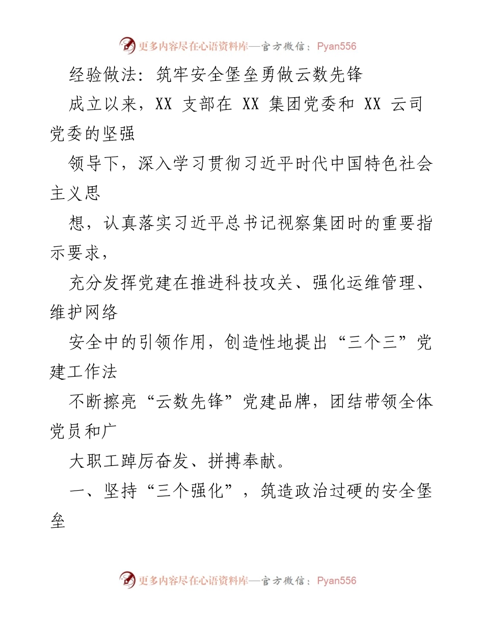 [工作总结] 党建工作 - 打造云数先锋：筑牢安全堡垒的经验做法.docx_第1页