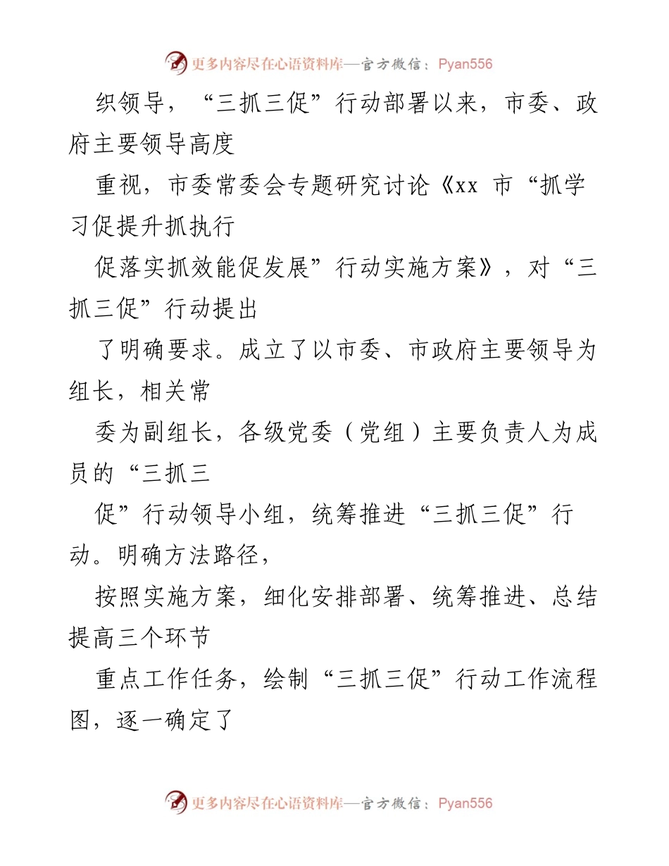 [工作总结] 会议部署 - 市“三抓三促”行动阶段性工作总结与推进措施.docx_第2页
