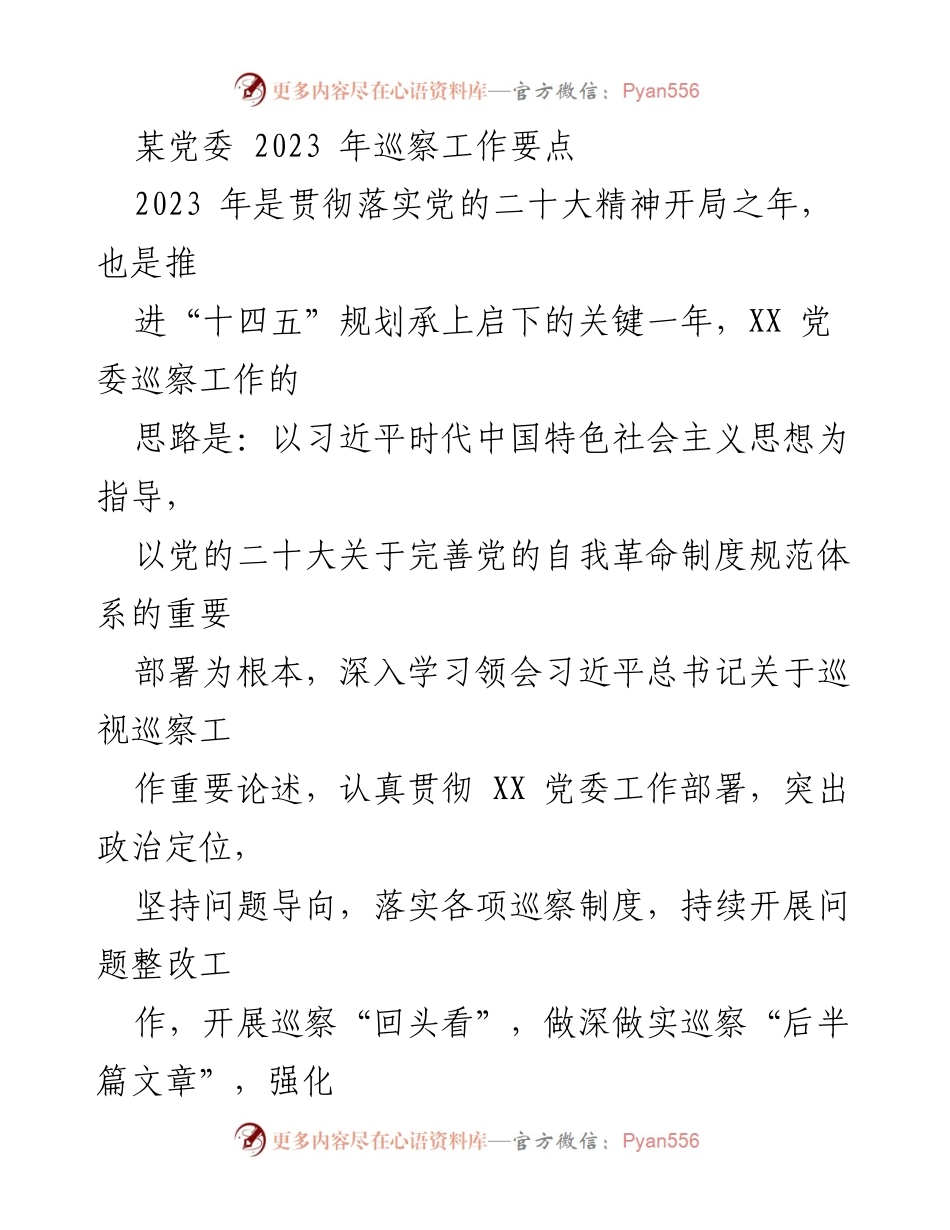 [工作总结] 党委巡察 - 2023年党委巡察工作要点及实施策略.docx_第1页