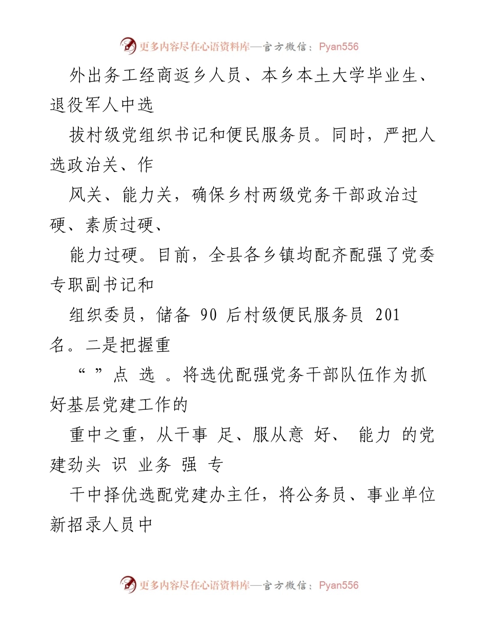 [工作总结] 党务干部队伍建设 - 提升党务干部素质与能力的工作汇报.docx_第2页