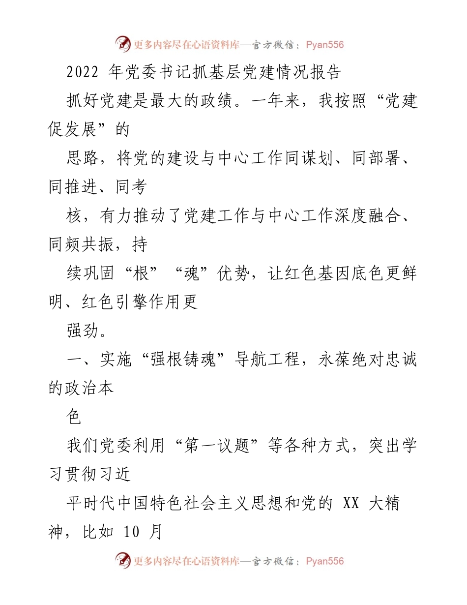 [工作总结] 党委书记抓基层党建情况 - 2022年党建工作推动与成效总结.docx_第1页