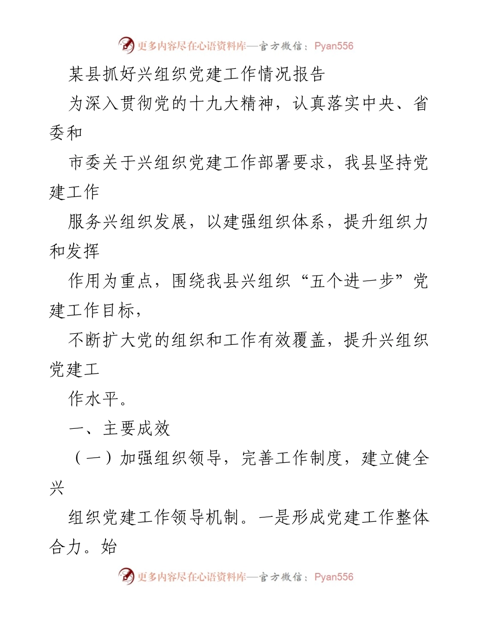 [工作总结] 党建工作 - 某县兴组织党建工作情况总结报告_1.docx_第1页