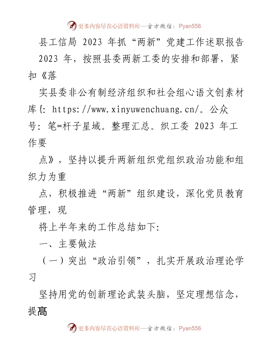 [工作总结] 党建工作 - 2023年县工信局“两新”党建工作述职报告.docx_第1页
