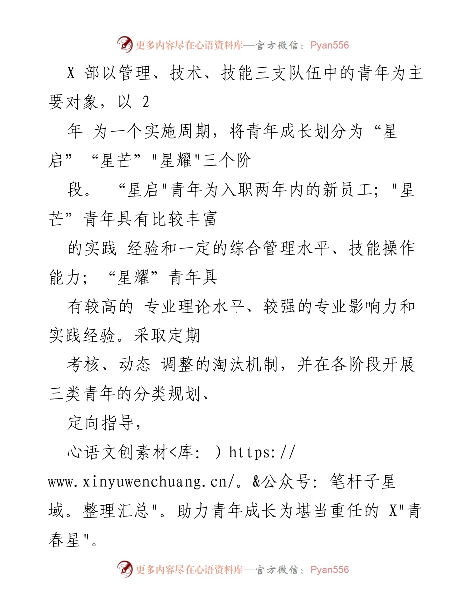[工作总结] 企业转型 - 青年人才培养助力高质量发展.docx_第2页