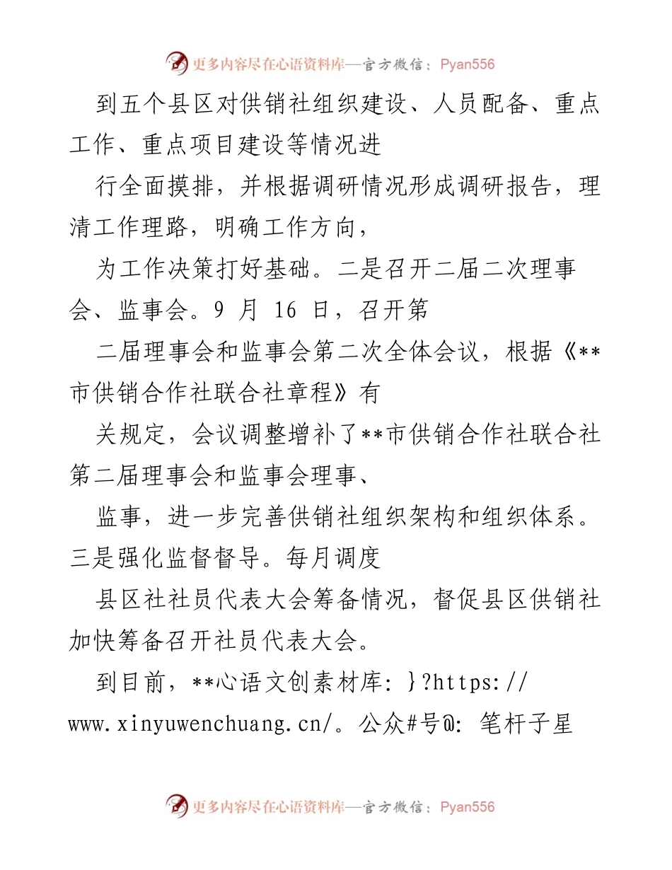 [工作总结] 供销社年度总结 - 2022年工作总结与2023年工作展望.docx_第2页