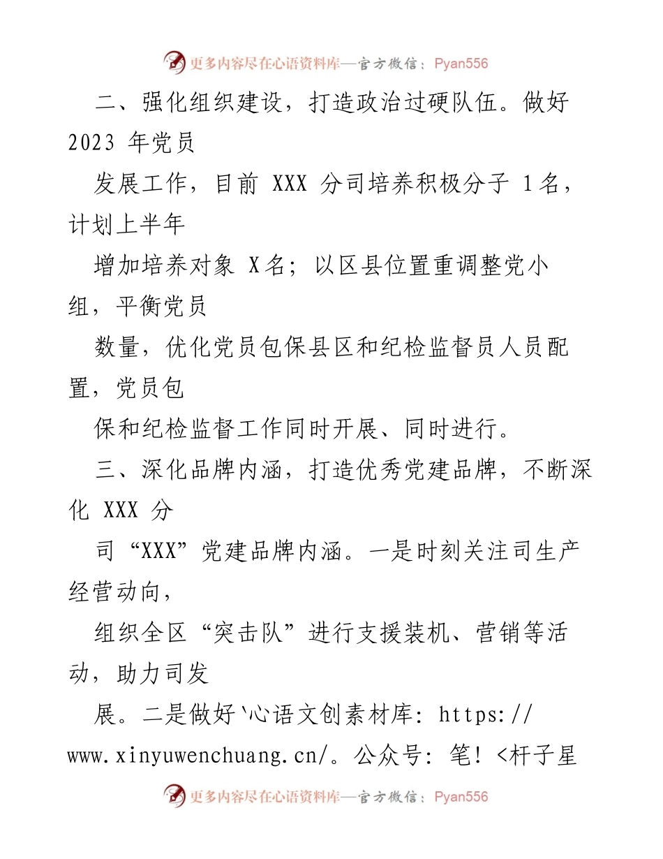 [工作总结] 党建工作 - 2023年国企党支部党建工作规划及实施措施.docx_第2页