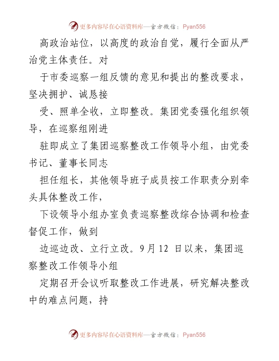[工作总结] 企业集团 - 2024年市人才发展集团巡察整改工作总结报告.docx_第2页