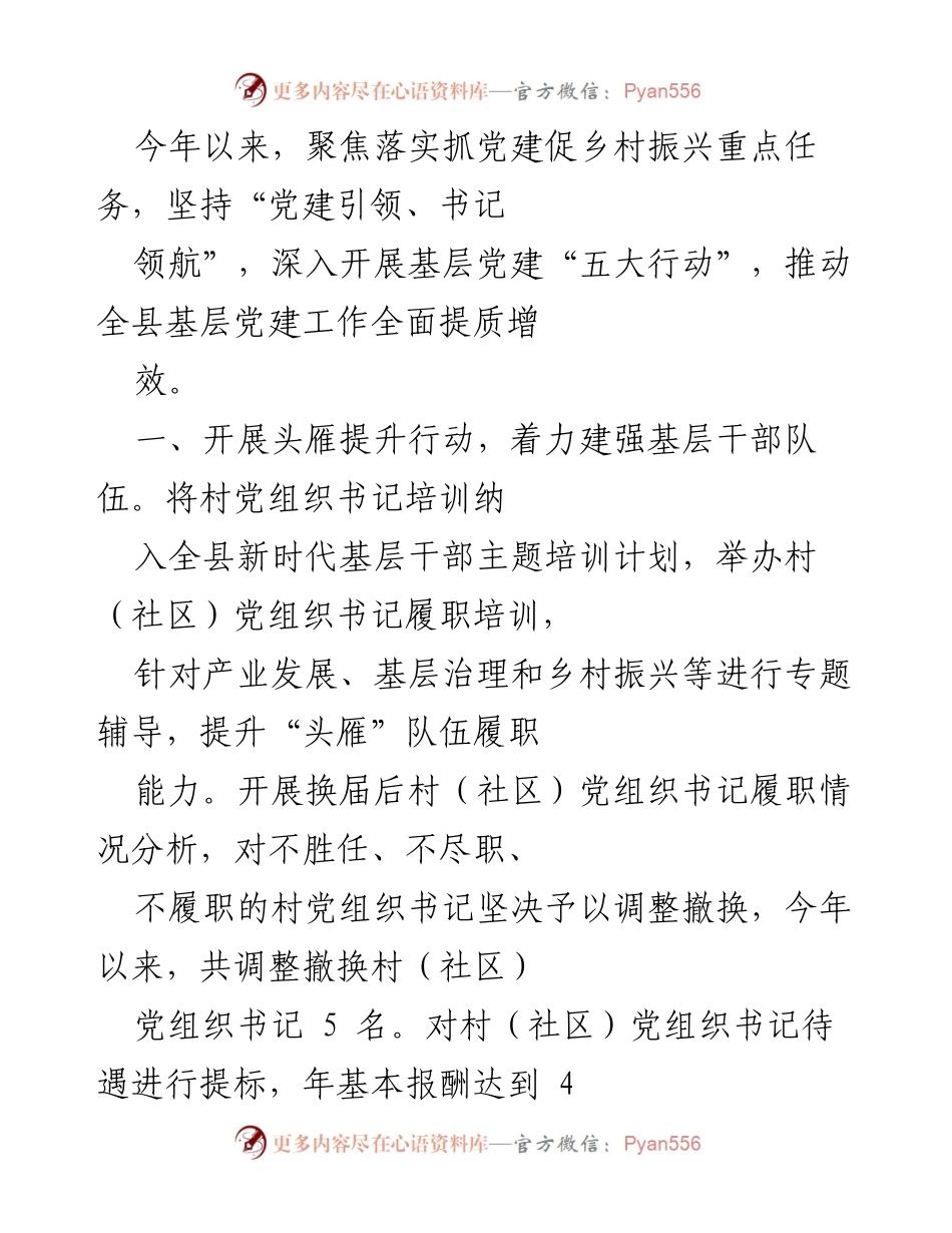 [工作总结] 党建工作会议 - 加强基层党建，推动乡村振兴发展.docx_第1页