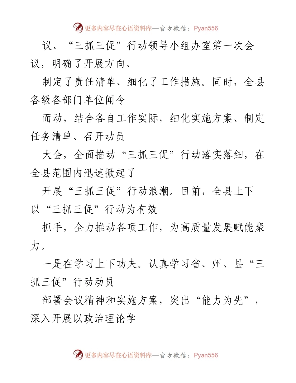 [工作总结] 会议部署 - “三抓三促”行动实施情况总结与推进策略.docx_第2页