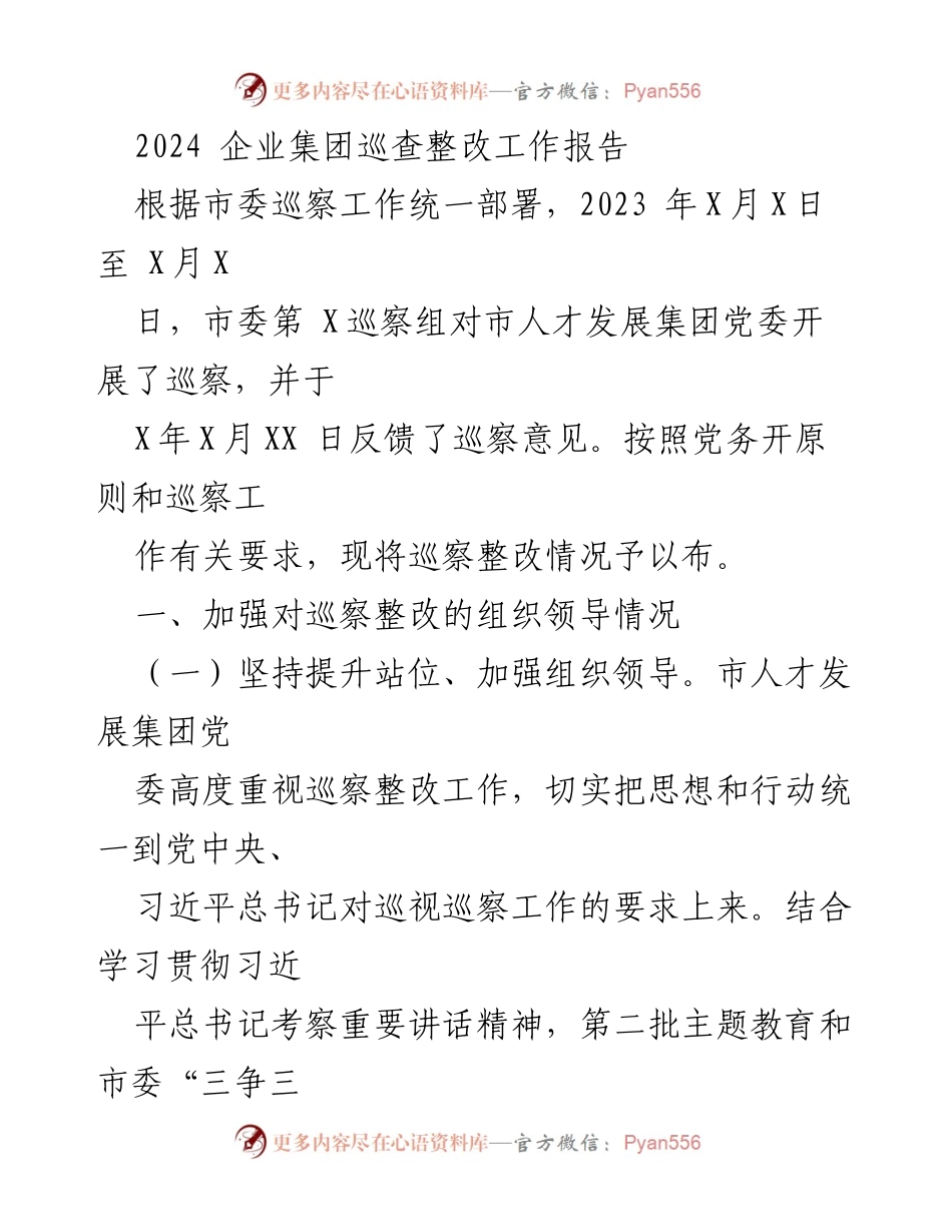 [工作总结] 企业集团 - 2024年市人才发展集团巡查整改工作总结报告.docx_第1页