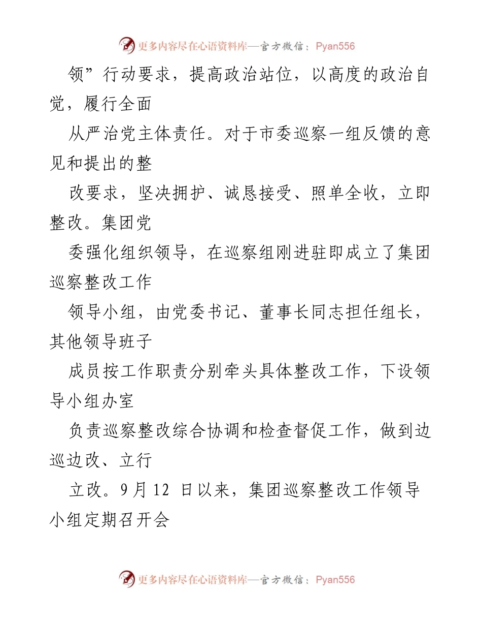 [工作总结] 企业集团 - 2024年市人才发展集团巡查整改工作总结报告.docx_第2页