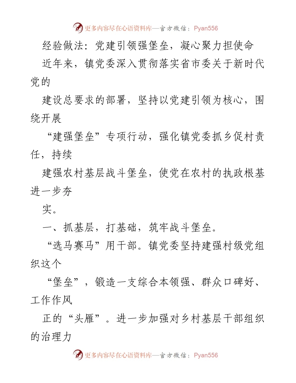 [工作总结] 党建工作 - 党建引领，筑牢农村基层堡垒，服务民生新实效.docx_第1页