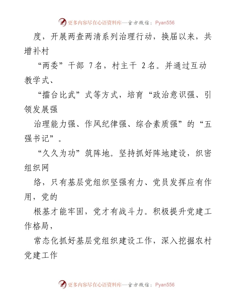 [工作总结] 党建工作 - 党建引领，筑牢农村基层堡垒，服务民生新实效.docx_第2页