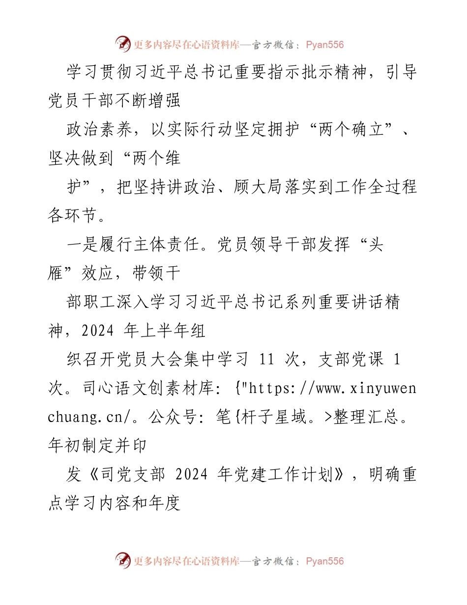 [工作总结] 党建工作 - 2024年上半年司党支部党建工作总结.docx_第2页