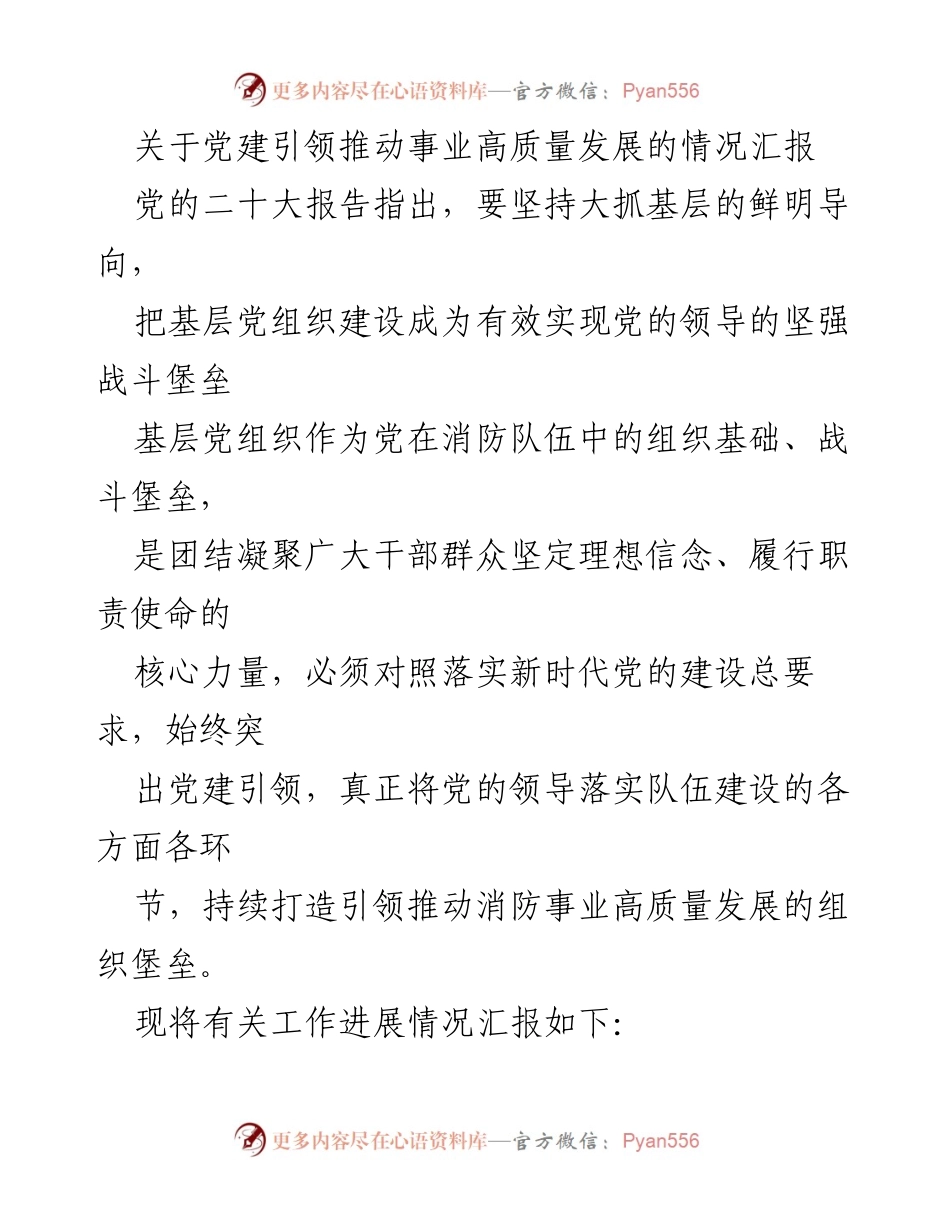 [工作总结] 党建工作 - 党建引领推动消防事业高质量发展的进展汇报.docx_第1页