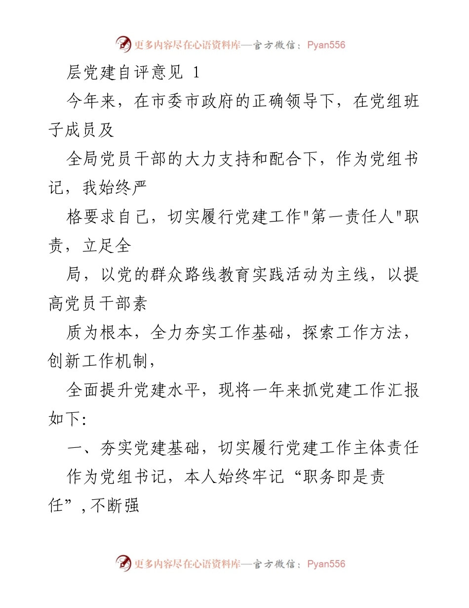 [工作总结] 党建工作 - 党建工作自评与整改汇报.docx_第1页