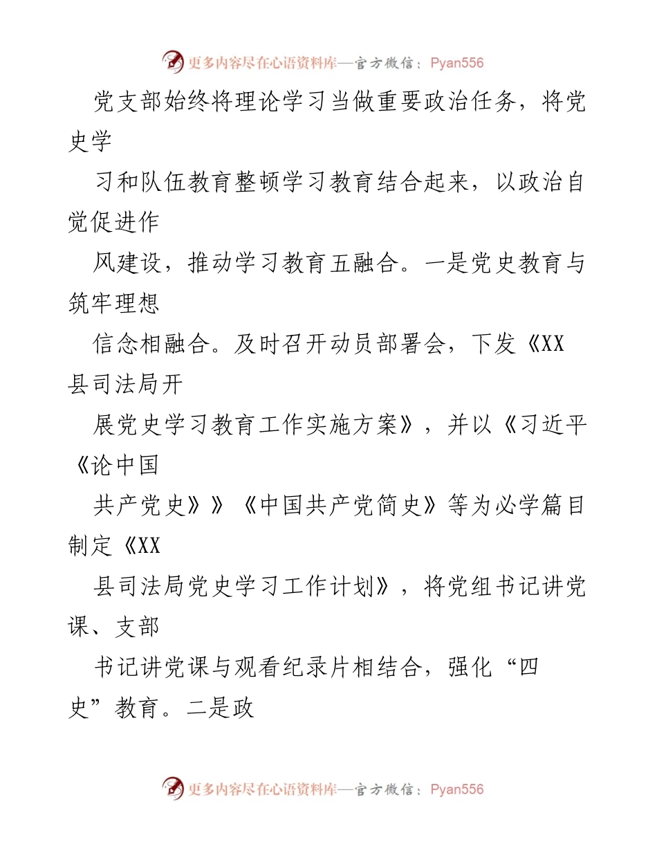 [工作总结] 党建工作 - 县司法局202X年党建工作总结.docx_第2页
