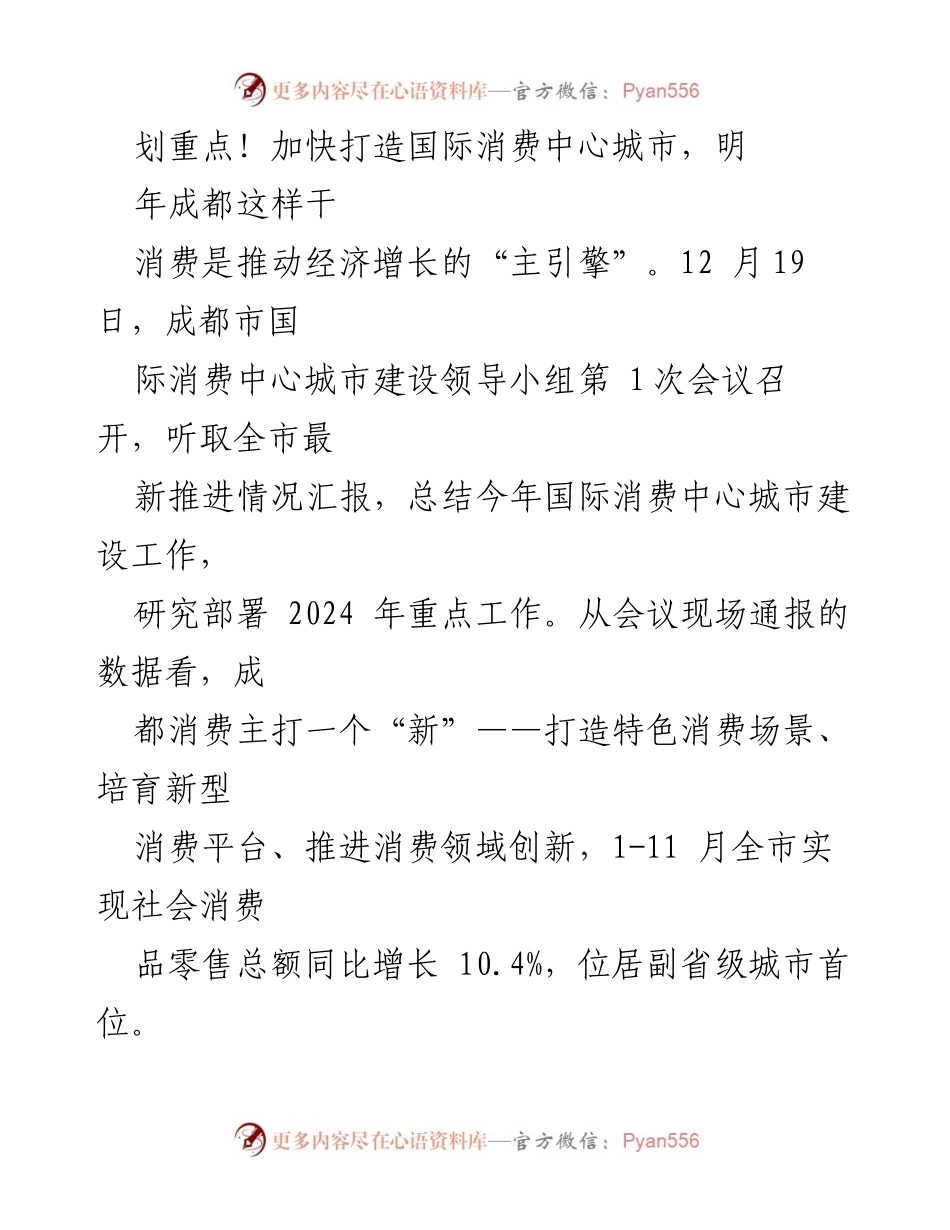 [工作总结] 会议 - 加快打造国际消费中心城市的2024年工作计划总结.docx_第1页