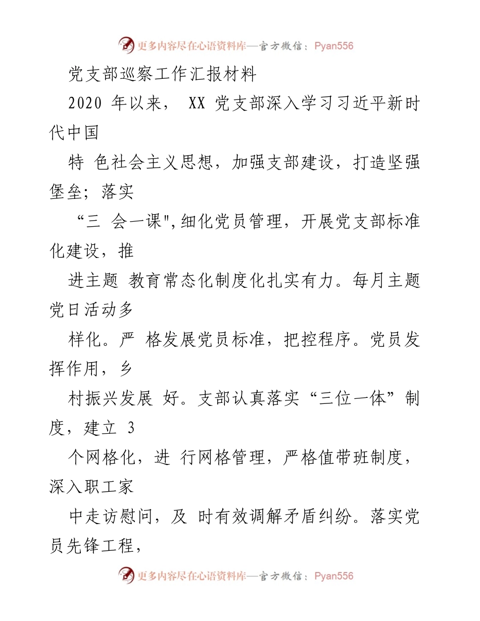 [工作总结] 党支部巡察 - XX党支部巡察工作总结报告.docx_第1页