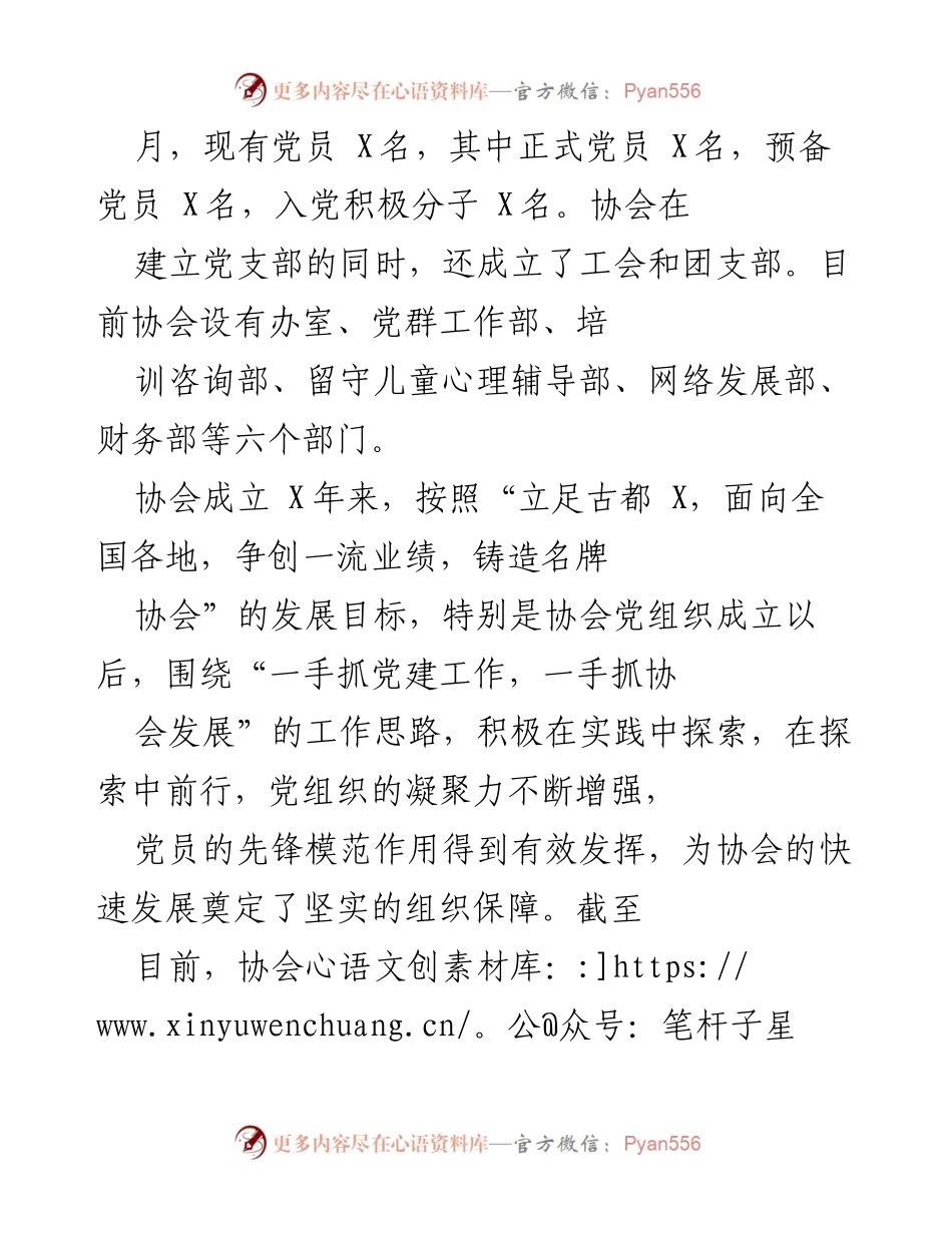 [工作总结] 党建工作汇报 - X市X协会党支部党建工作情况总结报告.docx_第2页