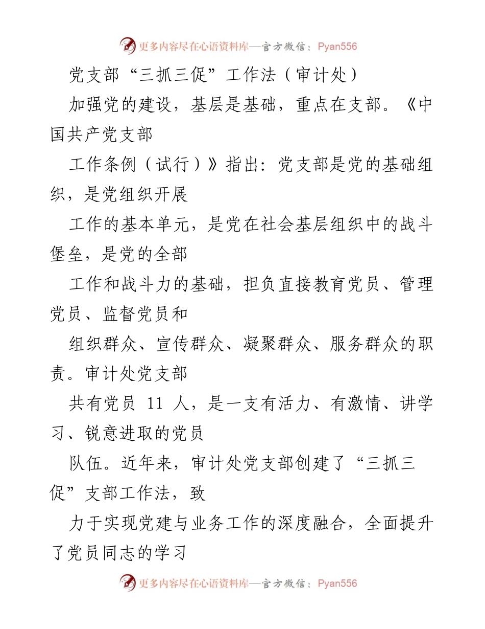 [工作总结] 党支部建设 - 审计处党支部“三抓三促”工作法的实践与成效.docx_第1页