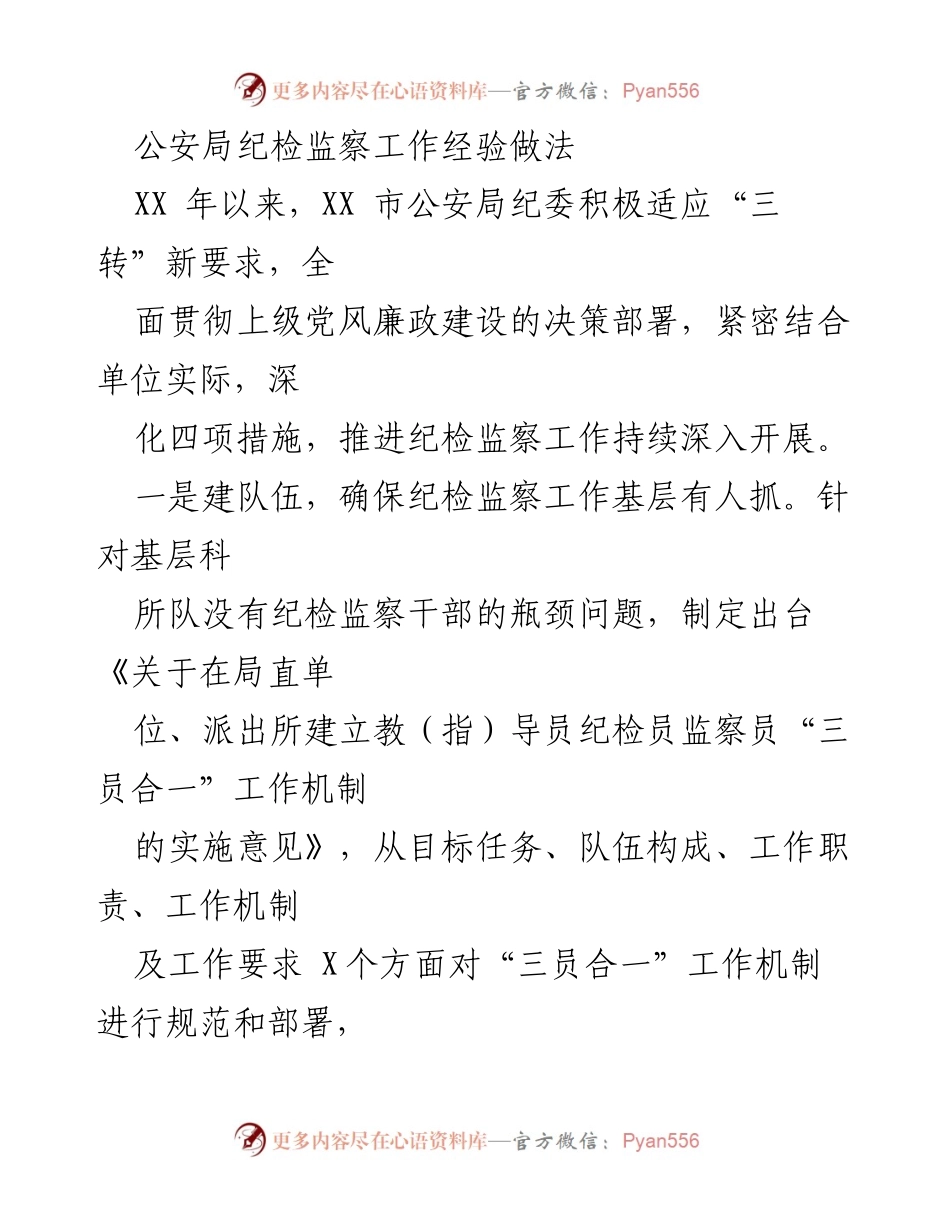 [工作总结] 公安局纪检监察工作 - XX市公安局纪检监察工作经验与措施总结.docx_第1页