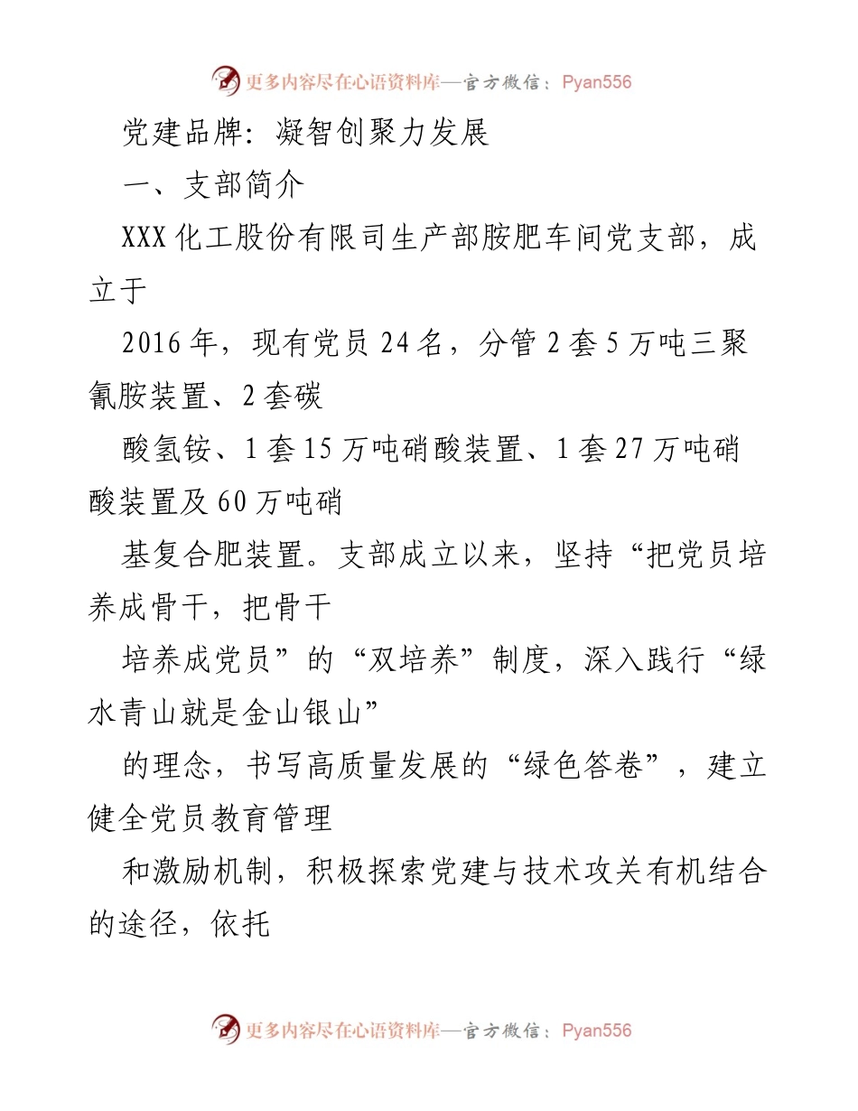 [工作总结] 党建活动 - 胺肥车间党支部“凝智创聚力发展”品牌建设总结.docx_第1页