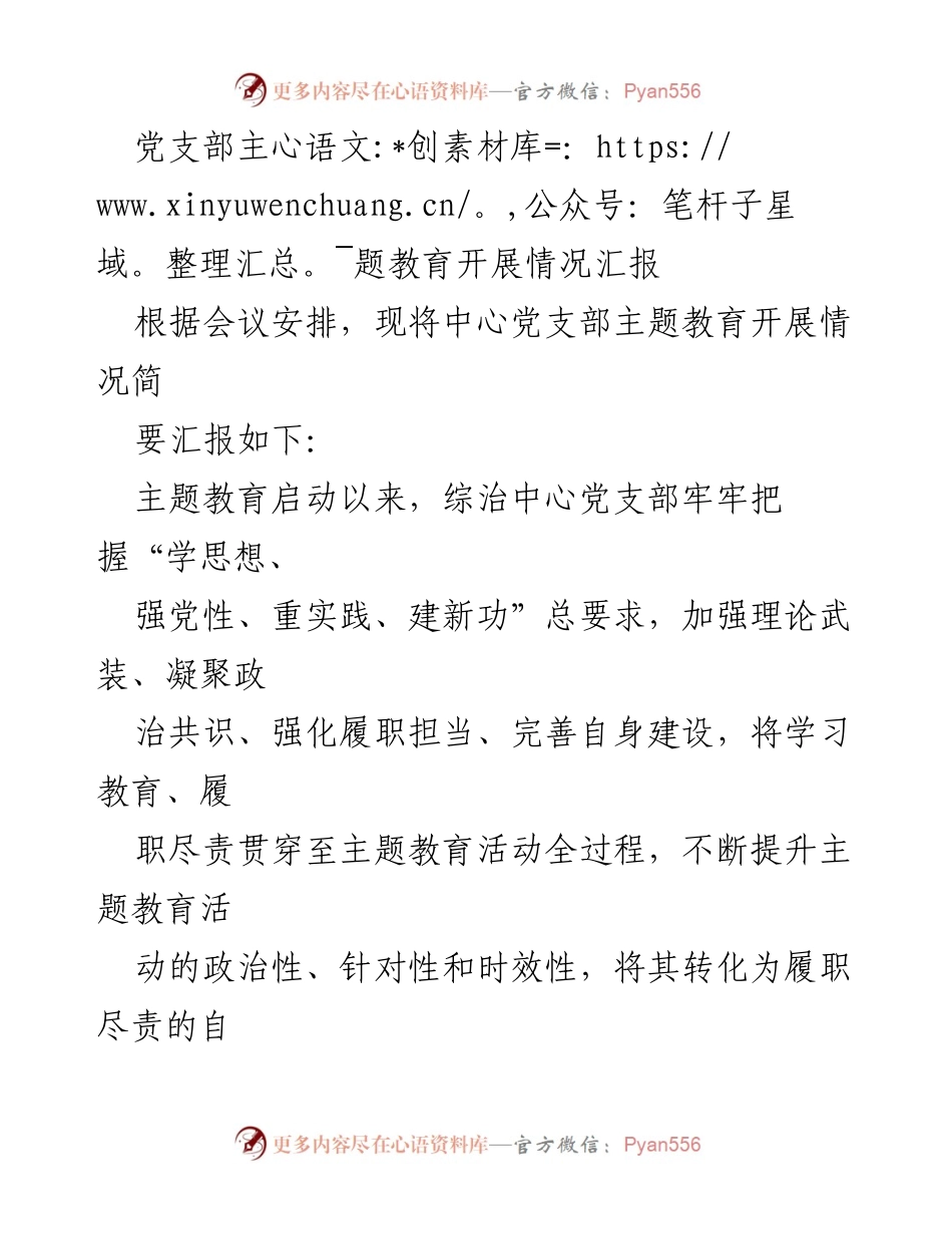 [工作总结] 党支部主题教育 - 党支部主题教育开展情况总结报告.docx_第1页
