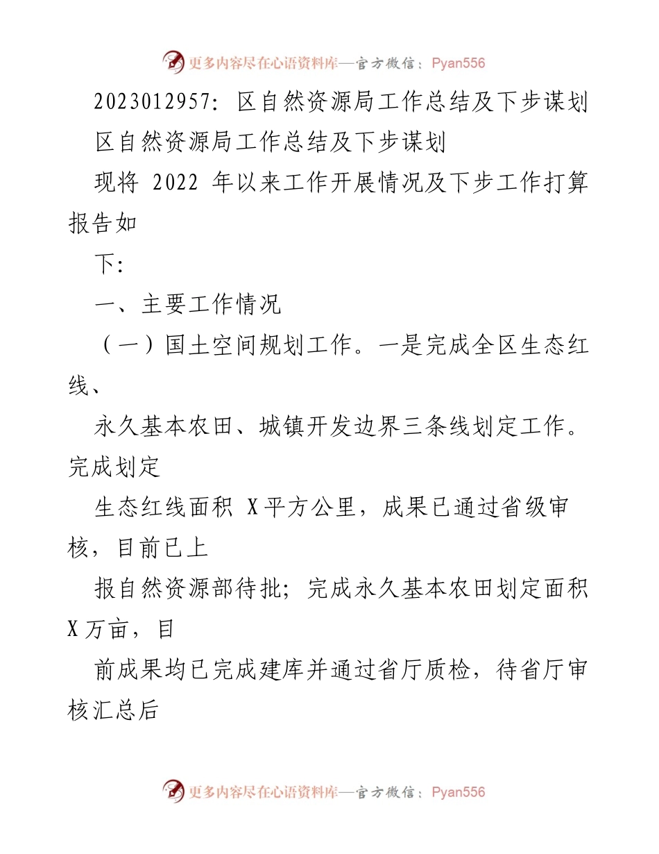 [工作总结] 区自然资源局 - 2022年工作总结及未来规划报告.docx_第1页